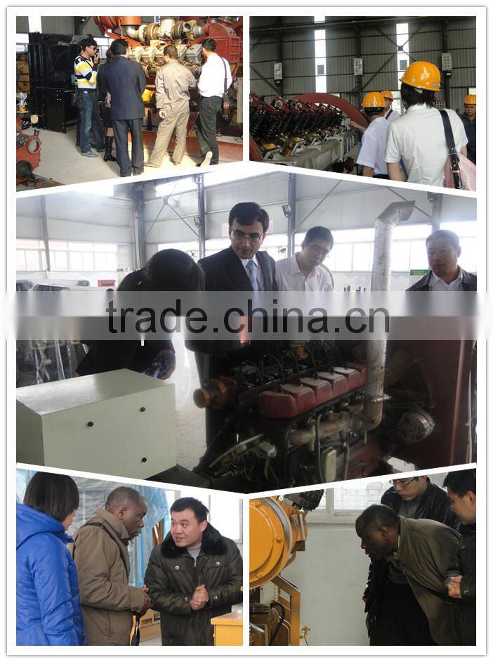 CE approved 500kw natural gas generator price for power plant using