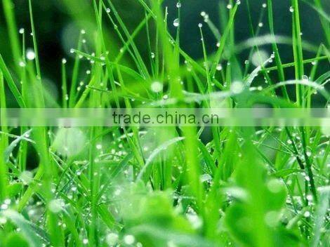 260gsm glossy rc photo paper ,large paper rolls(photopaper glossy),resin coating waterproof photo paper