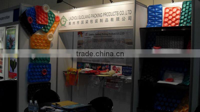 2015 Hotsale Fresh Plastic Meat Trays With Pad