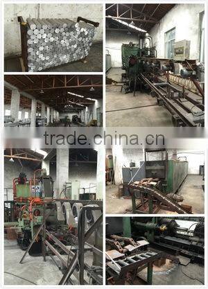 Bus luggage door hinge aluminum profile and rubber strip