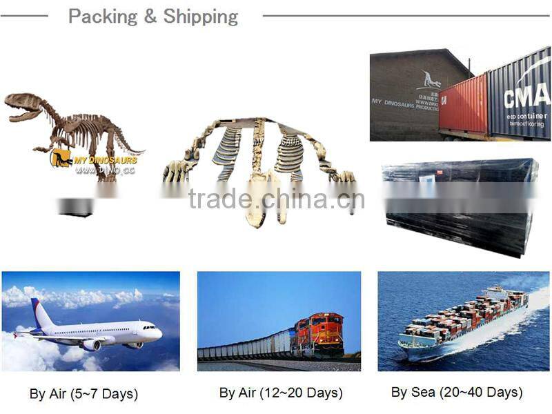 MY Dino-C058 Water park whale skeleton for sale