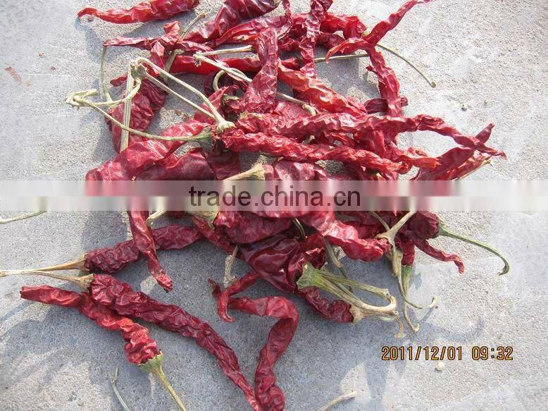 dried chilli