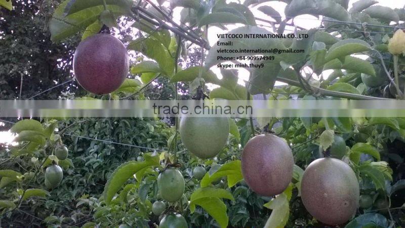 Fresh passion fruit