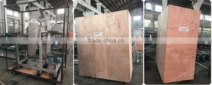 Commercial stainless steel fruit juice extractor