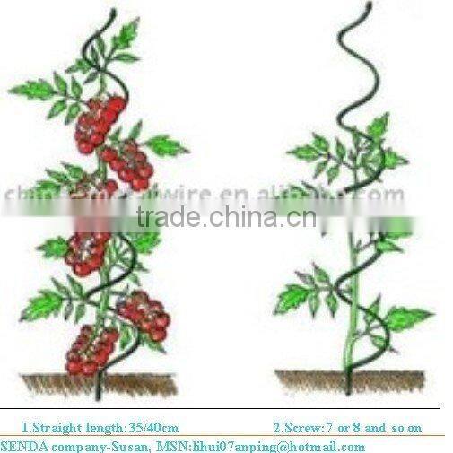 tomato spiral planter