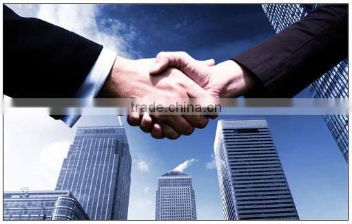 HOT SALE Automatic high quality Samosa making machine delicious samosa