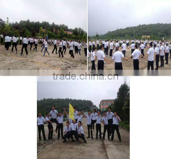 Pvc inflatable roly-poly tumbler ,pvc inflatable tumbler , pvc inflatableroly-poly tumbler toys