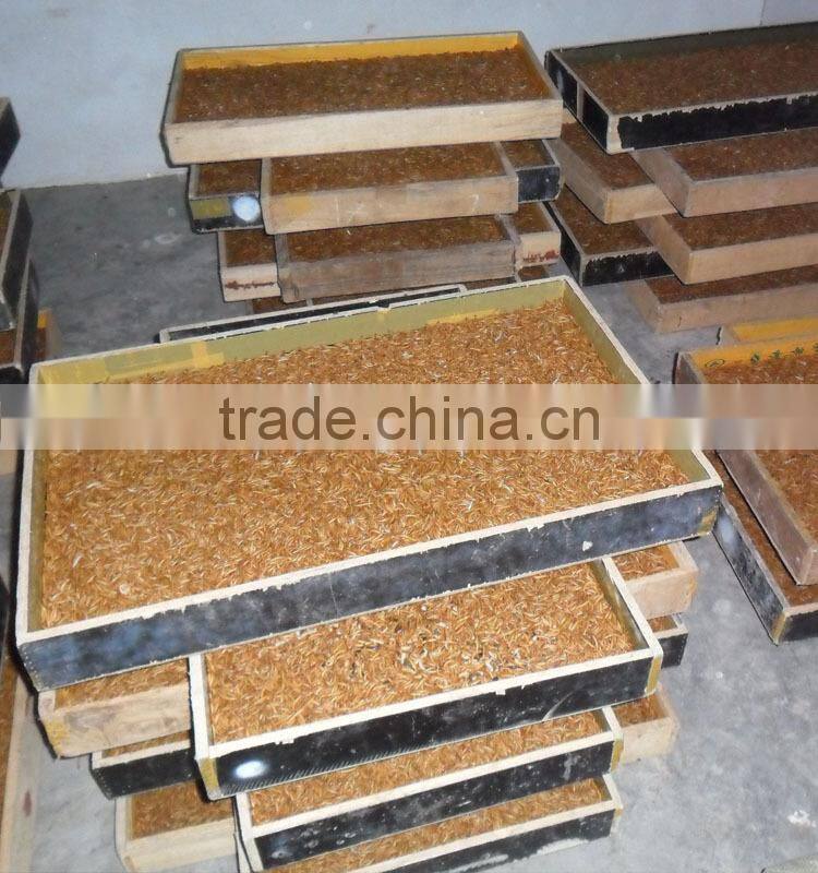 pet food supplies microwave dried mealworm bird food, chicken feed mealworm