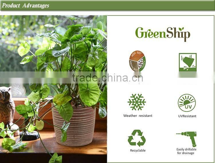 New designed high quality fiberglass planters wholesale _ GreenShip