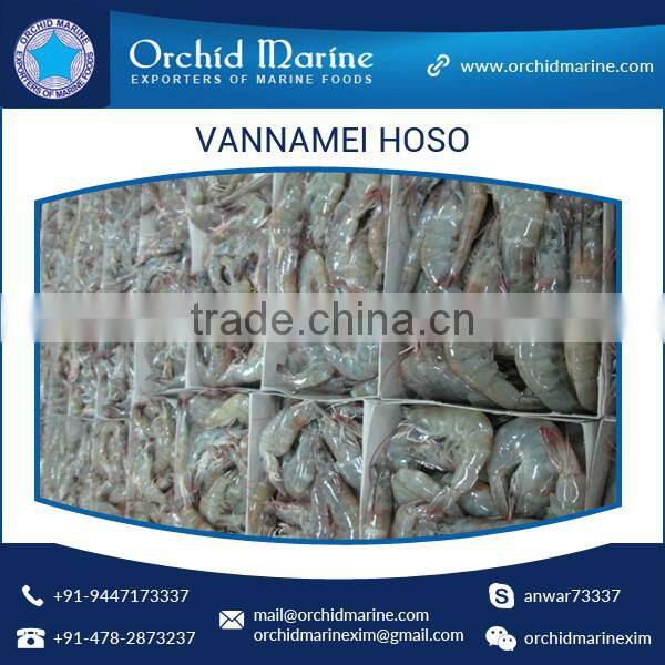 Trusted Supplier of High Quality Delicious, Healthy, Natural, Shrimp Vannamei