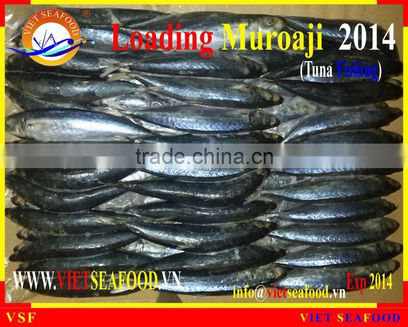 LOADING MUROAJI FOR TUNA BAIT