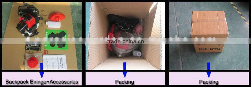 4-Stroke Bckpack Grass Cutter PD-BG003 Brush Cutter Gardening Tools