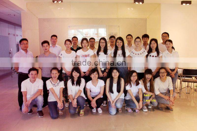 Double wheels outdoor scooter and adult electric personal transportation vehical