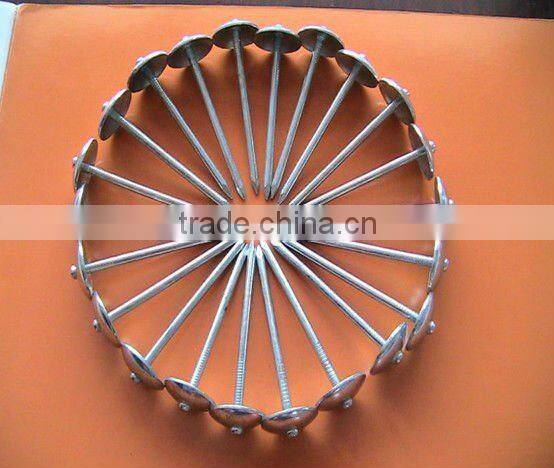 corrugated roofing nails