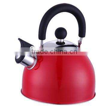 Stainless Steel cookware Kettle Color Painting