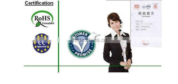 CG-11 BARISIO S.steel 1.2kg boiler coffee mill with the starting safety switch