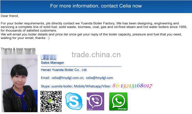 Steam boiler for Processing and preserving of fruit and vegetables