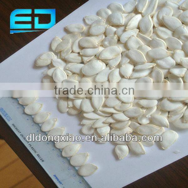 Crop Top Different Types of Seeds High Quality Snow White Pumpkin Seeds