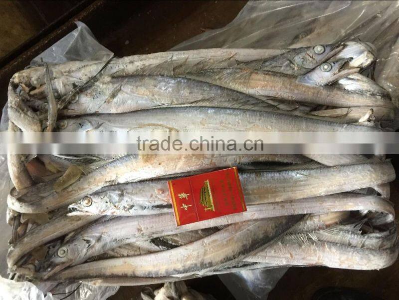 Good quality of Frozen Ribbon Fish 120-300g
