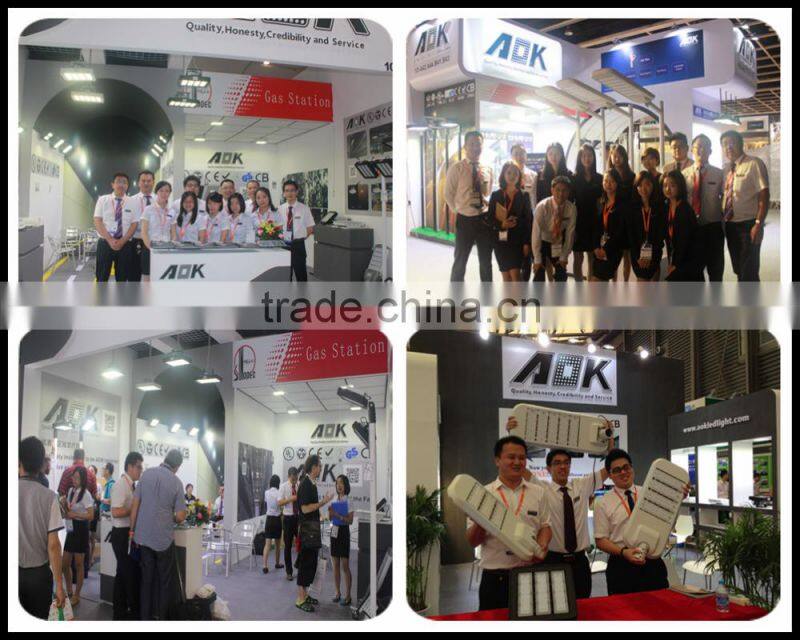 8 Years Warranty UL DLC EMC LVD RoHS SAA IP67 IK10 LED Road Light with Photocell