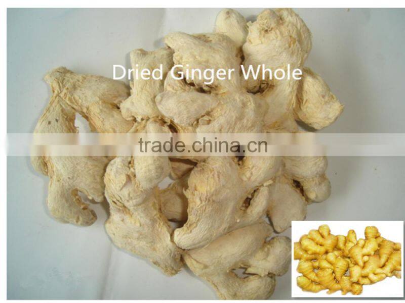 Dried Whole Ginger Chinese Professional Factory "HOT SALE" Price