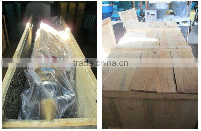 YZYX120WZ automatic combined safflower oil press machine with filter