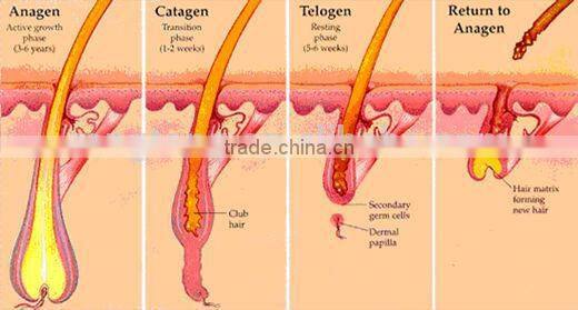 small mini portable IPL hair removal for 2015 market trending hot products