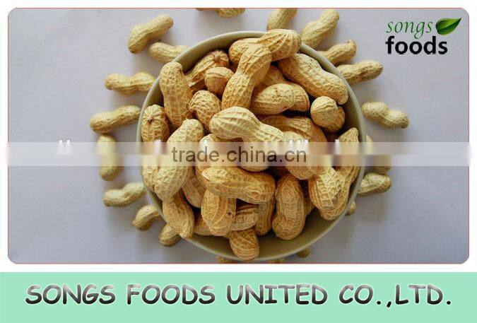 Raw Peanuts Inshell New Crop