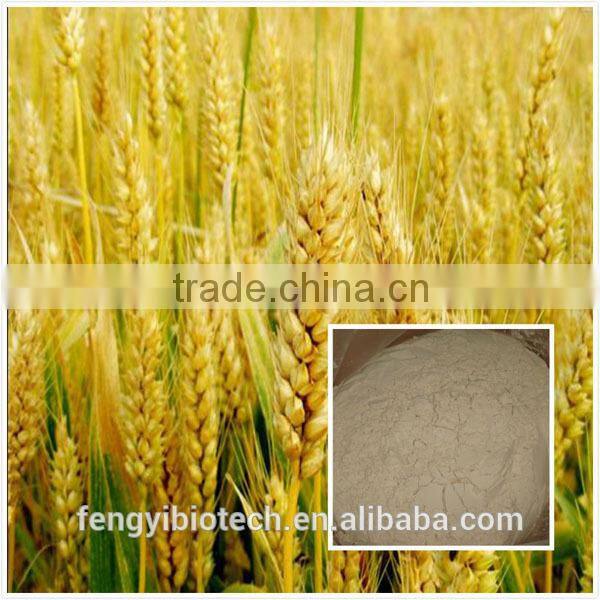 natural wheat peptide powder applied in cosmetic