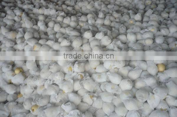 fresh ya pear&new crop&the most lowest price