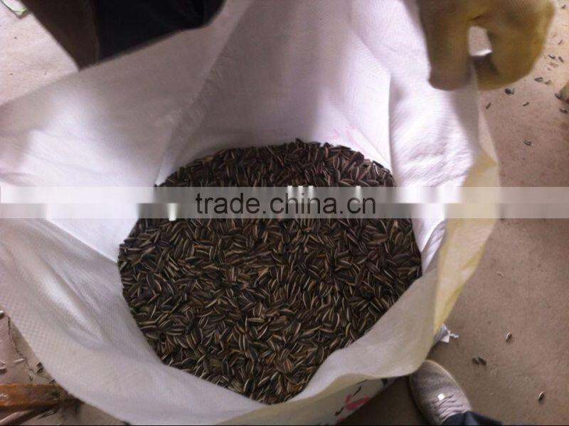 china new crop sunflower seed for export