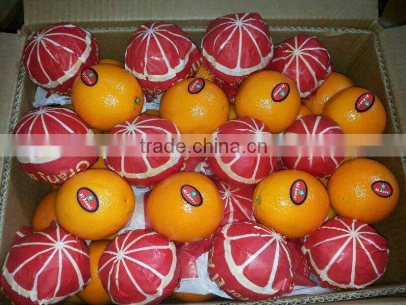 Golden Fresh Citrus Navel And Valencia ORANGE