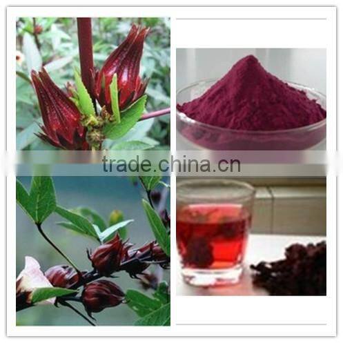 100% Natural Hibiscus Flower Extract/Hibiscus Flower Extract with anthocyanidins 1-25%