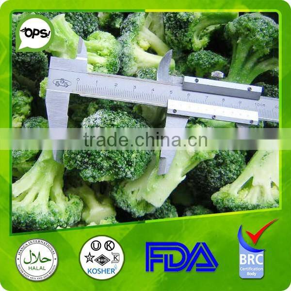 New crop Frozen Broccoli