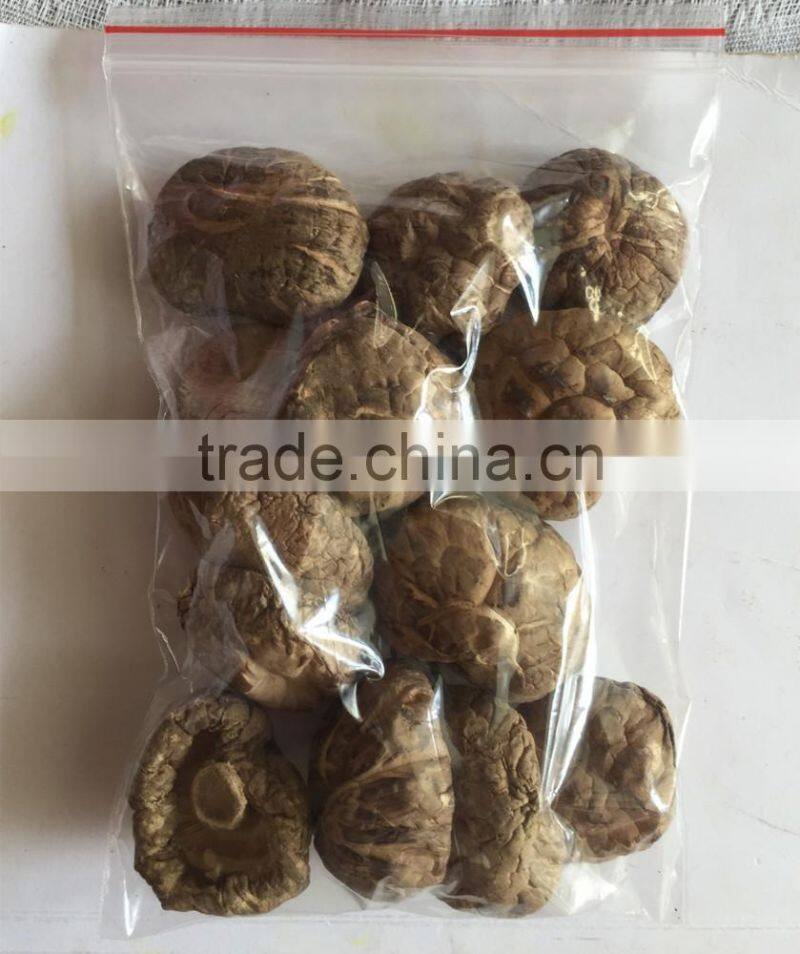 Shiitake Type Thick Dried Flower Shiitake Mushroom Whole 5LB