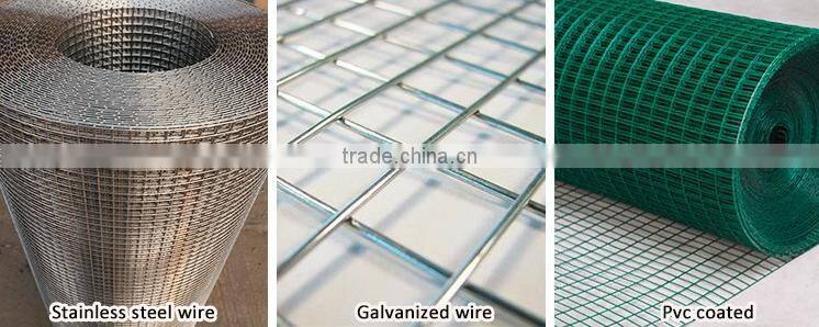 Cheap electro galvanized welded wire mesh from China