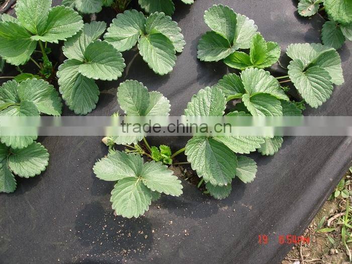 High Strength Garden Mat Erosion Control Plant Covers for Winter