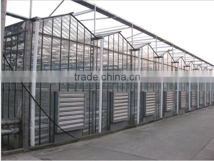 large multi-span Glass green house agriculture & commercial used greenhouse,modern greenhouse for agriculture farming and grow