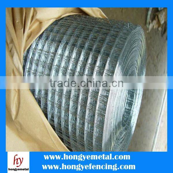 1/2'' bwg20 hot dipped galvanized welded wire mesh