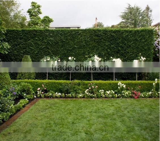 Hot sale plastic outdoor Nature green wall Garden decoration plants artificial boxwood hedge artificial hedge fence
