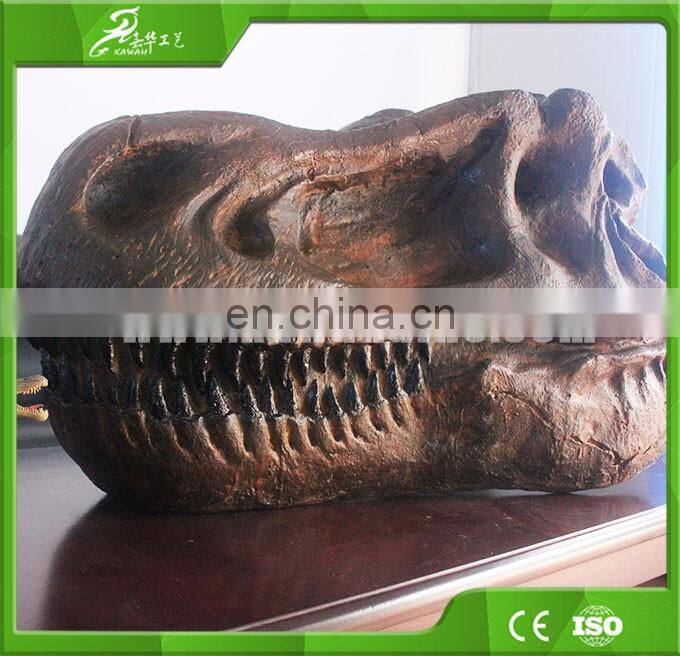 Museum exhibition fiberglass life-size dino head dinosaur fossil replicas dinosaur skeleton