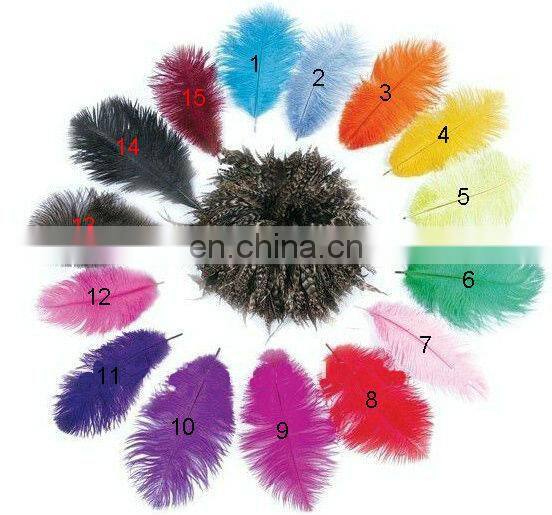 Wholesale! Ostrich Feather Boa For decoration