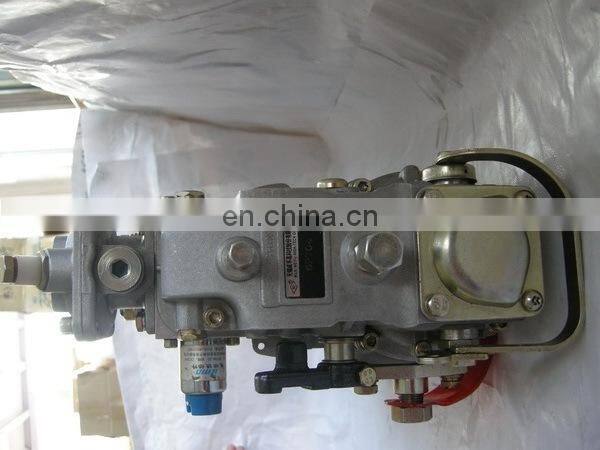 WeiFu Fuel injection pump 3976438 BHF6P120005