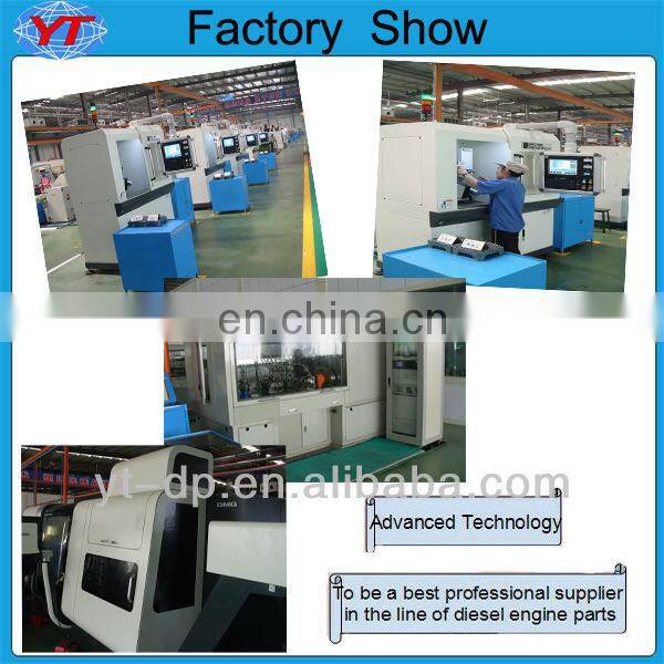 Fuel Injection Pump Spares Plunger and Barrel 2418450069 2418450108