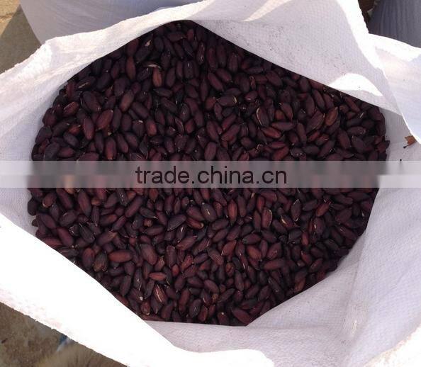 hot sale roasted and salted peanut made in China