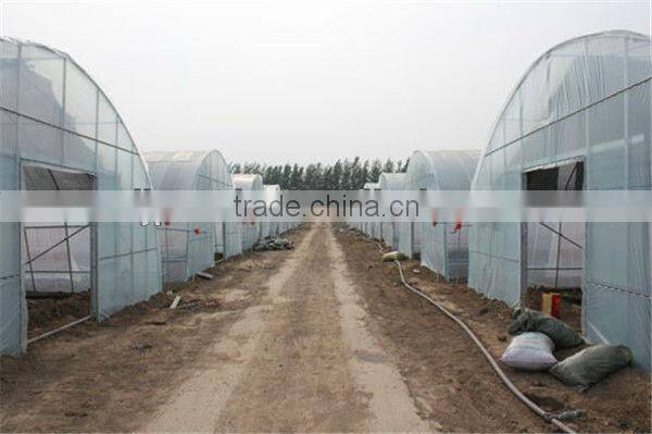 agricultural poly plastic greenhouse