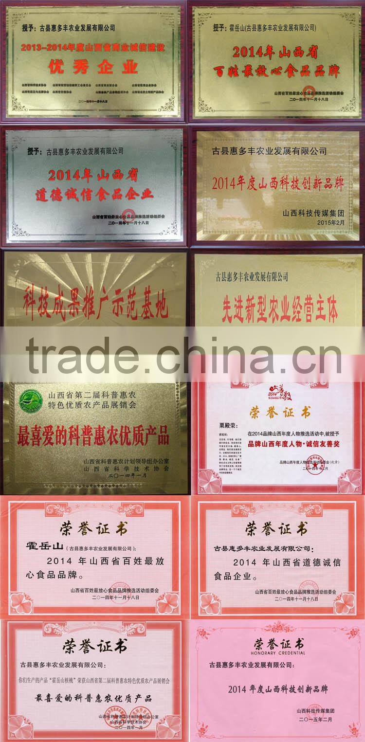 walnuts paste 100% pure first quality for bakery and gelato