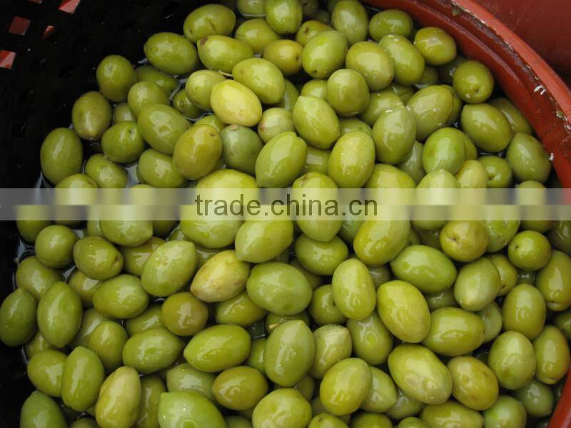 High Quality GREEK EXTRA VIRGIN OLIVE OIL , BIO , CONVENTIONAL, DESIGNATION OF ORIGIN (PDO), AND OLIVES