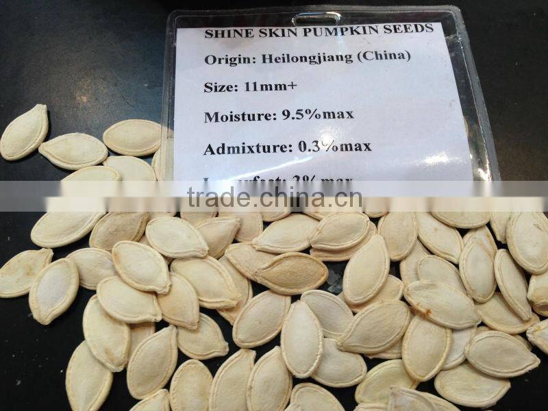 Hot Products Pumpkin Non-Edible Seeds
