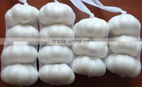 Sell Pure white garlic